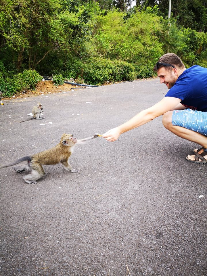 maimuta grand bassin mauritius monkey parcare