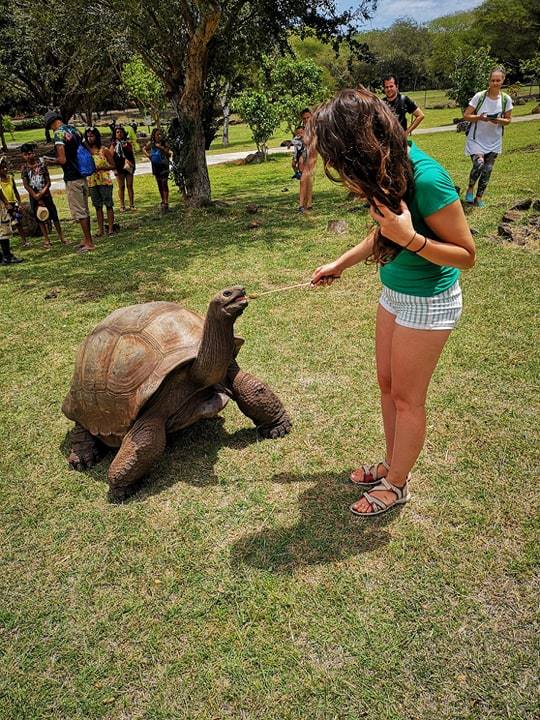 hranit testoasa mauritius - broasca etstoasa gigant - parculd e aventura casela